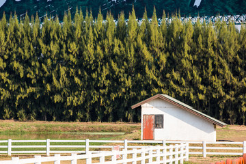 Small farm house