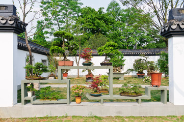 Hangzhou potted landscape in the park,  China