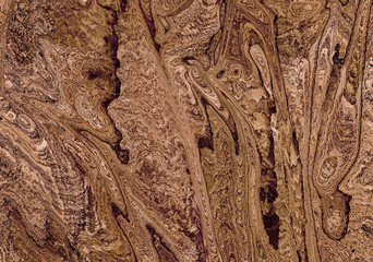 Gnarled wood closeup