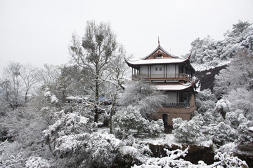 Fototapeta premium The image of beautiful nature