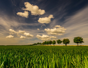 wiosenna, polna droga © Mike Mareen