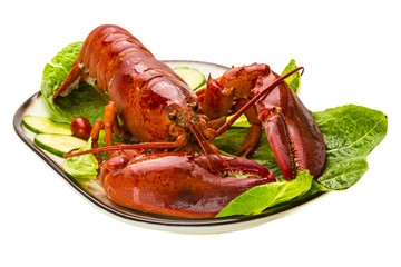 Large Lobster