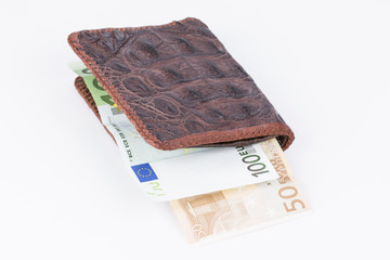 Purse with banknotes.