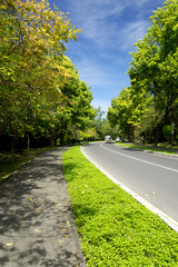 The image of outdoor