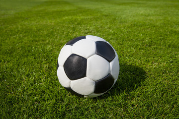 Fototapeta premium fußball auf rasen