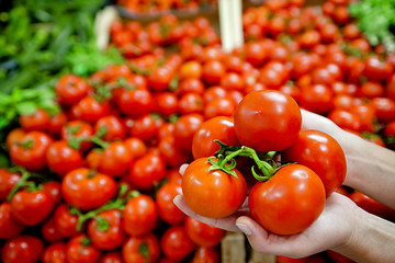 Pomodori freschi italiani al mercato