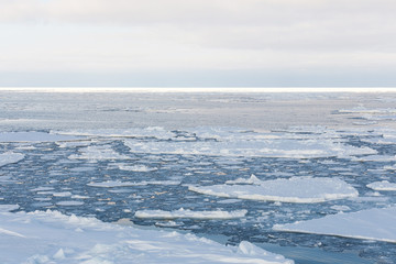 Drift ice, Sea of Okhotsk, Japan