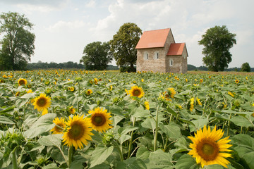 St. Margita church