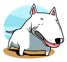 bull terrier