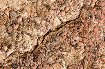 Cracky wooden surface.