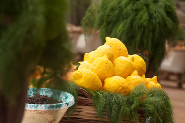 limoni siciliani