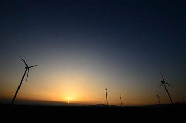 Fototapeta premium windraeder bei sonnenuntergang