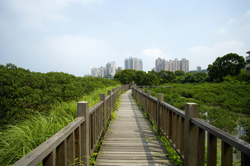 The image of beautiful lnadscape in Asia