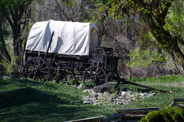 Covered Wagon in the Wilderness