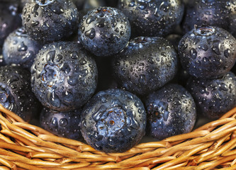 Fresh blueberries with water drops in wicker basket.