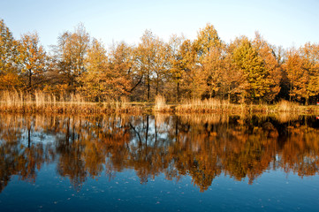 canal in autumn