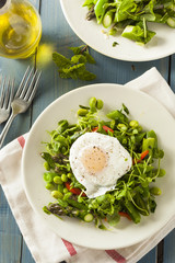 Healthy Scafata with a Poached Egg