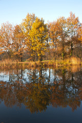 canal in autumn