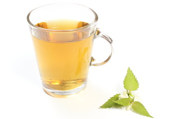 Fresh nettle with white flowers and cup of beverage