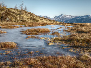 vereistes herbstliches Moor in HDR