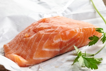 fresh raw salmon meat