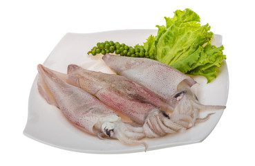 Raw calamari