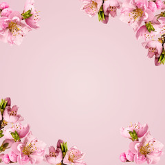 Obraz na płótnie Canvas card with peach flowers