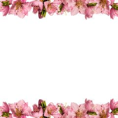 frame with peach flowers