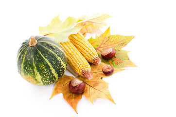 Autumn