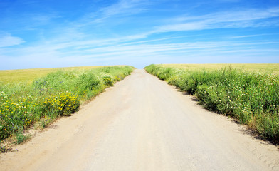 Fototapeta na wymiar Rural landscape with dirt road on wheat field