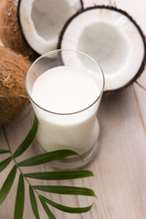 Obraz na płótnie Canvas coconut fruit with coco milk