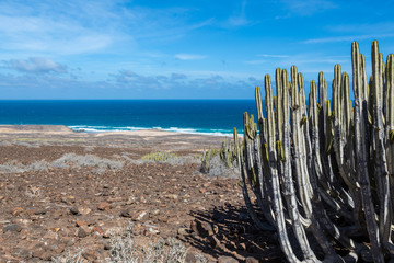 Fuerteventura