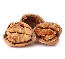 walnut