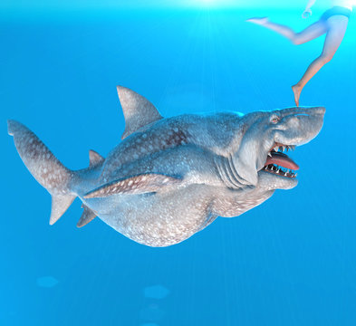 Big shark chasing man