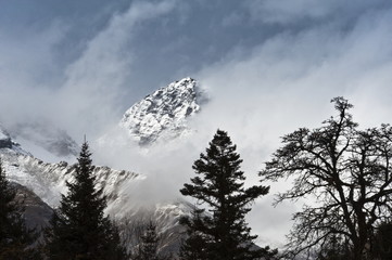 The image of beautiful nature