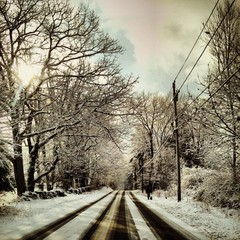 snowy drive