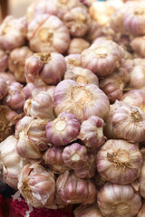 White garlic in the market