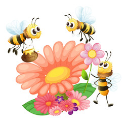 Blooming flowers with bees