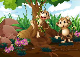 Obraz na płótnie Canvas Monkeys playing under the tree