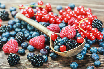 fresh blueberries, currants, blackberries, cranberries and raspb