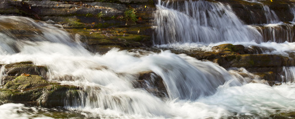 The image of beautiful nature