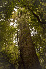 Obraz premium The image of beautiful nature