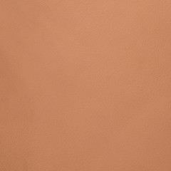 Fototapeta premium Brown leather