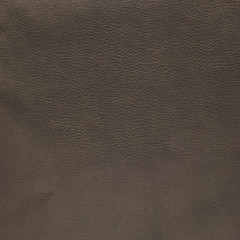 Fototapeta premium Brown leather