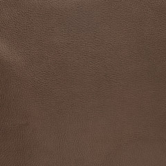 Brown leather
