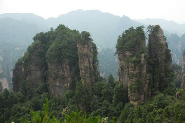 The image of landscape