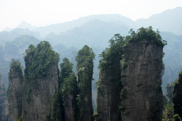 The image of landscape