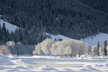 The image of landscape