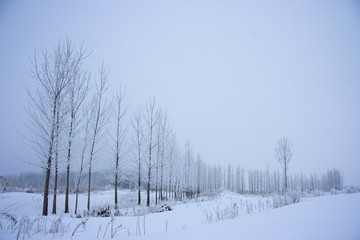 The image of landscape