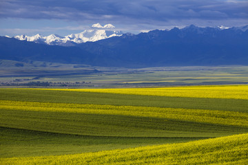 Fototapeta premium The image of landscape